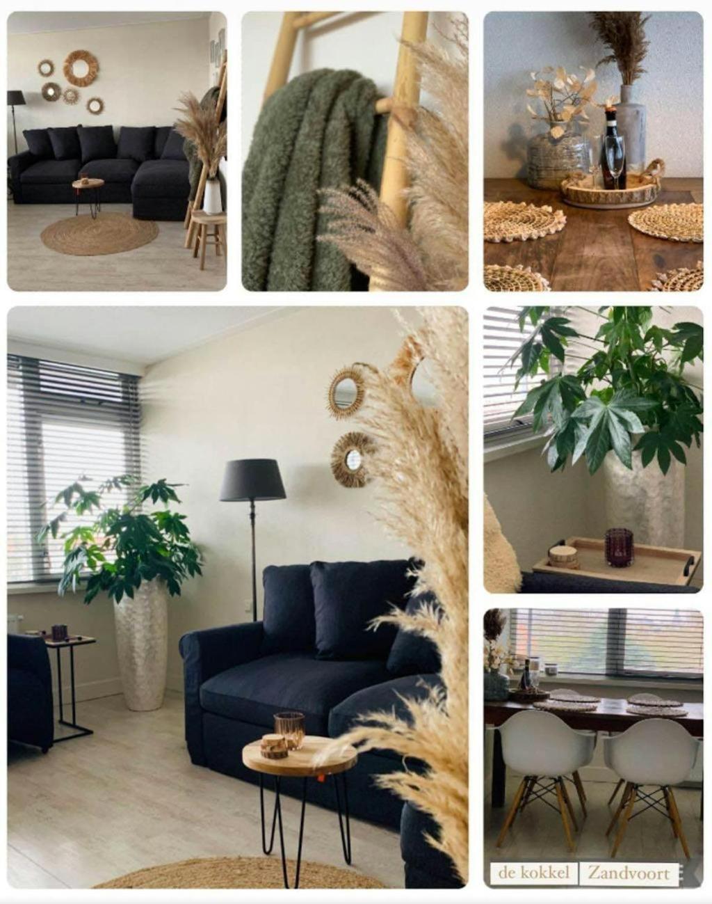 Appartement De Kokkel Free Parking Zandvoort Zewnętrze zdjęcie